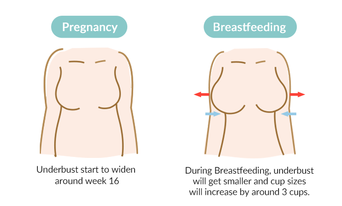 Underbust changes from pregnancy to breastfeeding. 