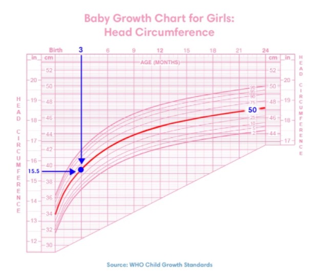 Baby Growth Chart: Head Circumference