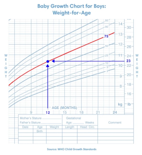 Baby Growth Chart: Weight-for-Age