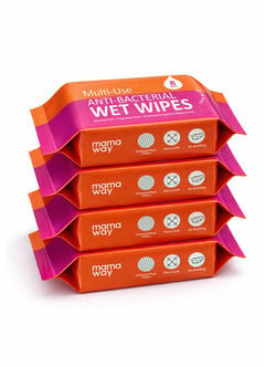 Multi-Use Anti-Bacterial Wet Wipescarry-on bag (4packs per set), , hi-res