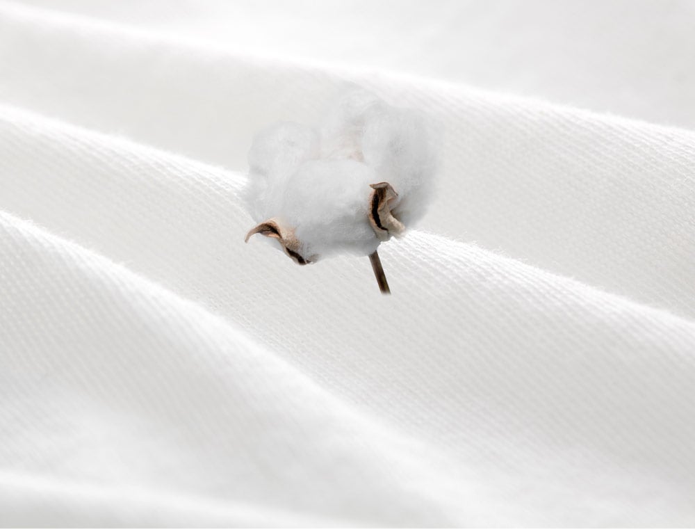 Disposable Underpants
